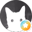 SwiftSnail Avatar
